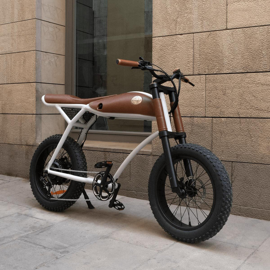 Ringo E-Bike with Lights, Leather Bag, Set up Assistance and First Year Inspection