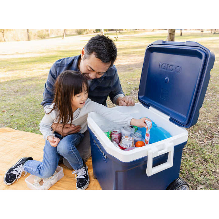 Maxcold 58 Litre (62 US QT) Roller Cooler summer ice, holiday