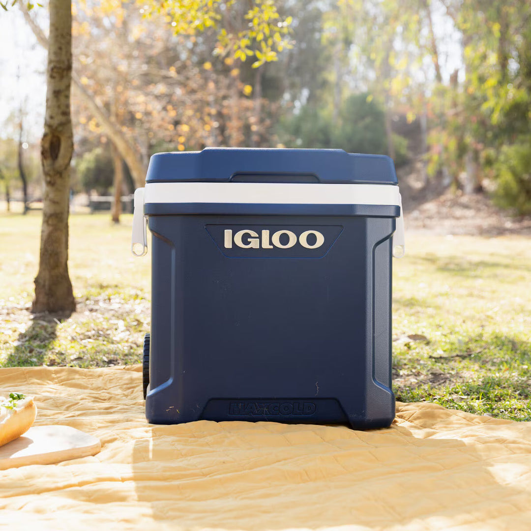 Maxcold 58 Litre (62 US QT) Roller Cooler summer ice, holiday