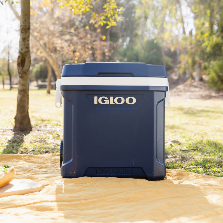 Maxcold 58 Litre (62 US QT) Roller Cooler summer ice, holiday