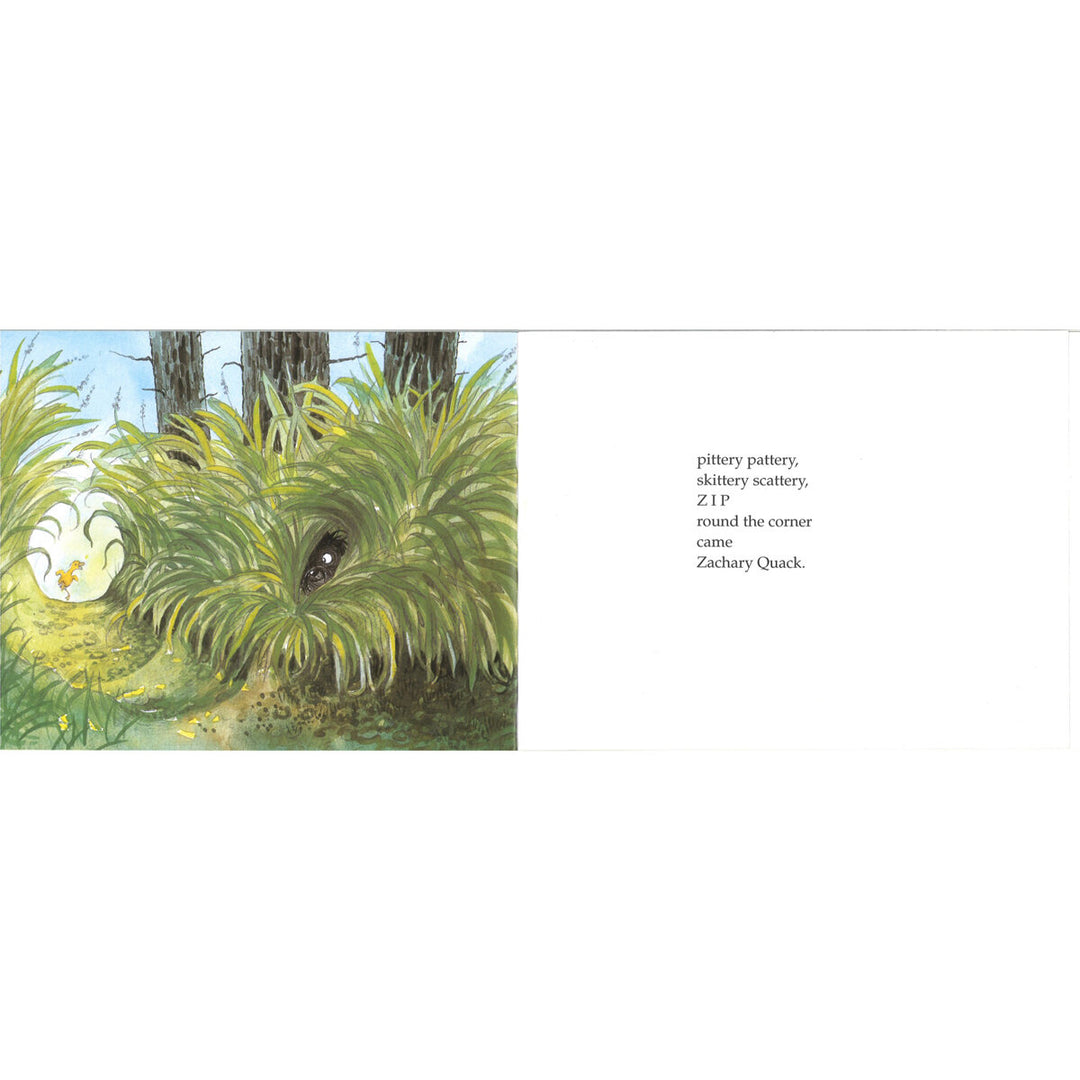 Hairy Maclary 10 Book Collection by Lynley Dodd (5+ Years)