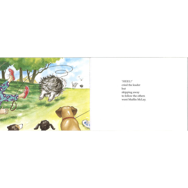 Hairy Maclary 10 Book Collection by Lynley Dodd (5+ Years)