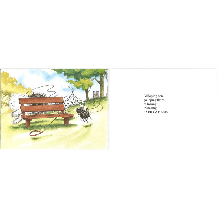 Hairy Maclary 10 Book Collection by Lynley Dodd (5+ Years)