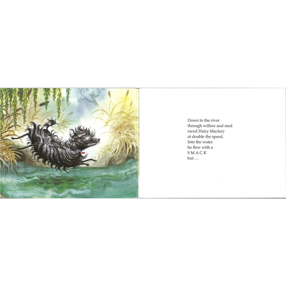 Hairy Maclary 10 Book Collection by Lynley Dodd (5+ Years)